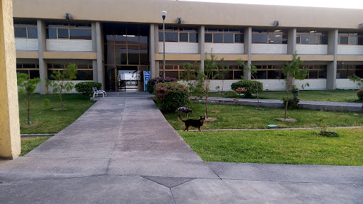 Centro Universitario de Tlajomulco (CUTLAJO) - UDG