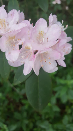 Park «Jones Bridge Park», reviews and photos, 4901 E Jones Bridge Rd, Peachtree Corners, GA 30092, USA