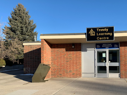 Trinity E-Learning School