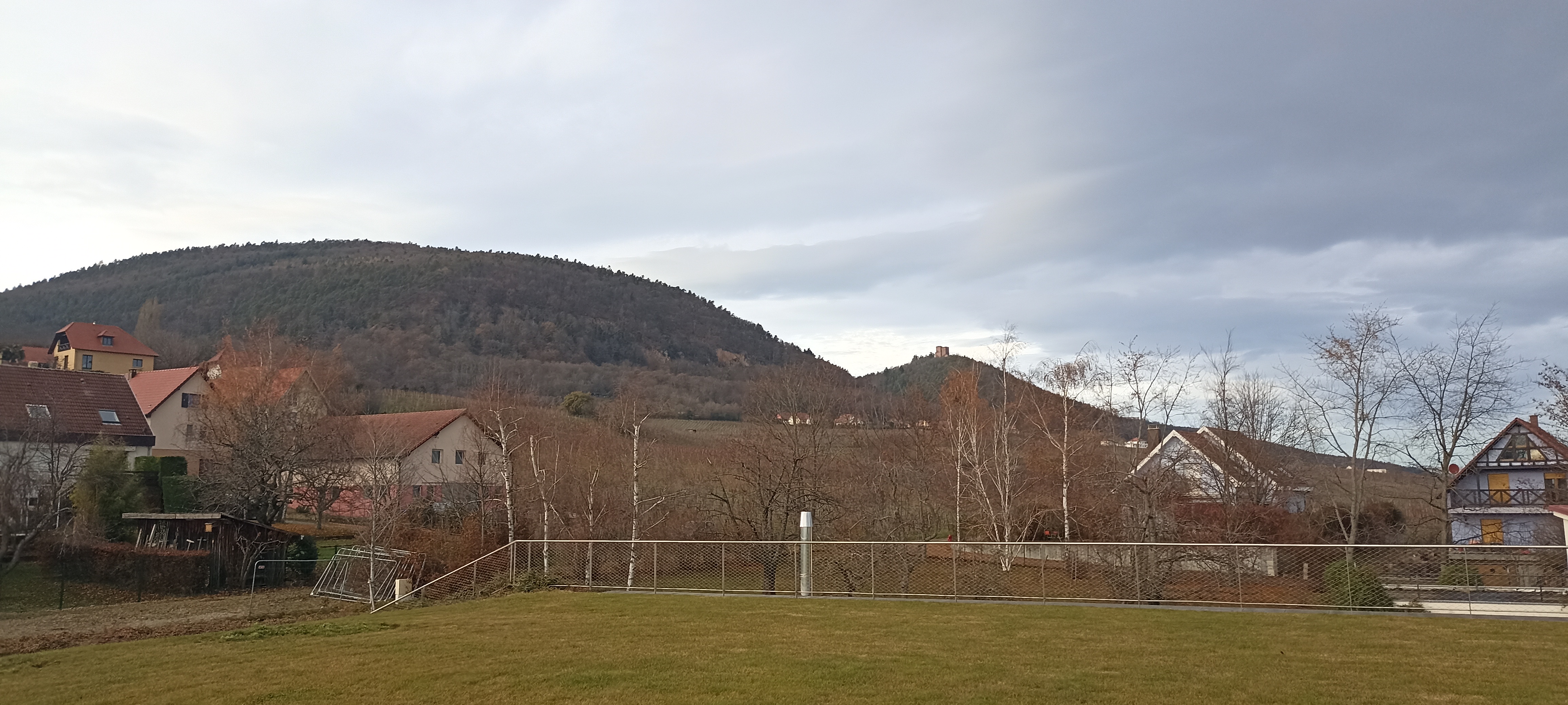 Photo n° 2 de l'avis de pam.o fait le 20/12/2022 à 17:13