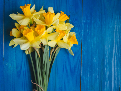 Florist «Joseph Genuardi Florist Inc», reviews and photos, 410 E Fornance St, Norristown, PA 19401, USA