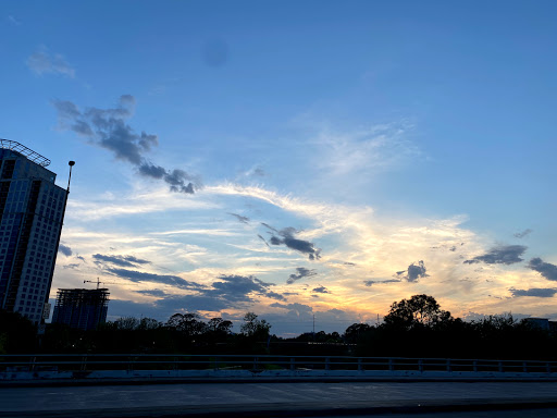 Tourist Attraction «Waugh Drive Bat Colony», reviews and photos, Waugh Dr, Houston, TX 77002, USA