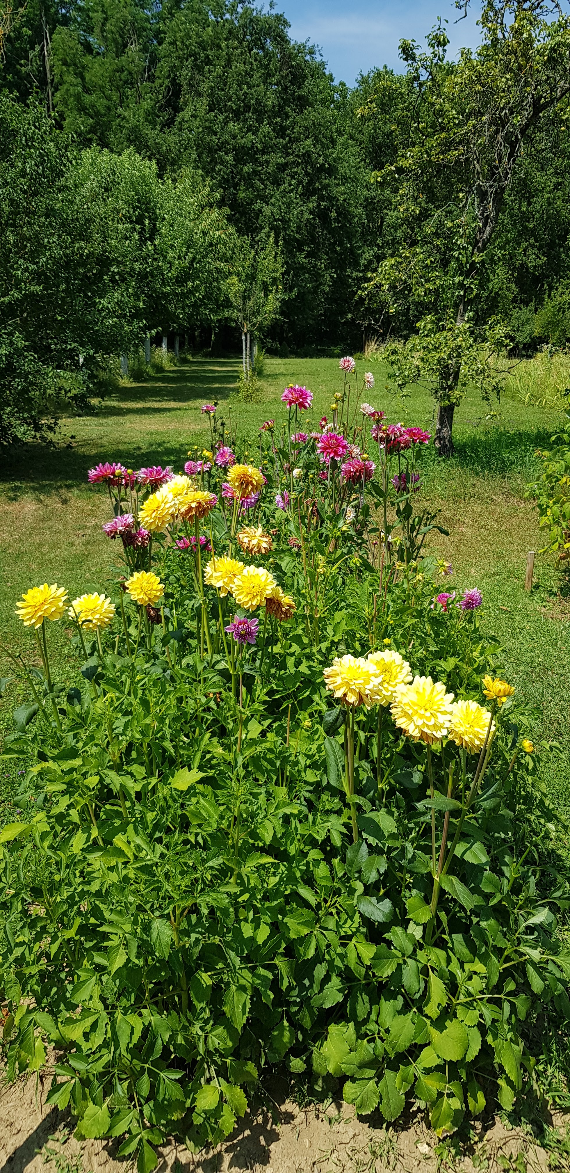 Photo n° 4 de l'avis de Elizabeth.r fait le 16/08/2019 à 13:43