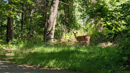 Golf Course «Moose Ridge Golf Course & Grille», reviews and photos, 11801 Doane Rd, South Lyon, MI 48178, USA