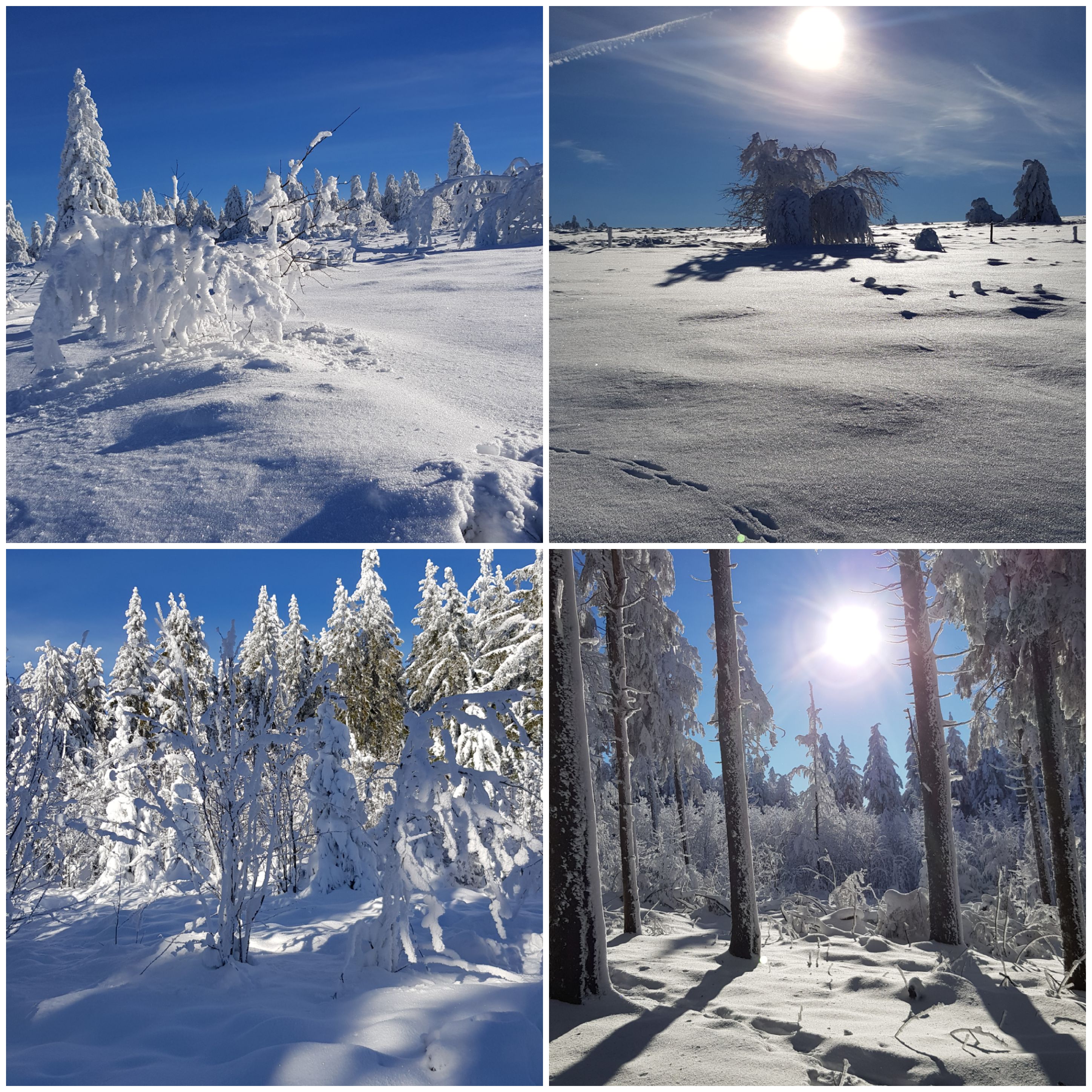 Photo n° 1 de l'avis de Francis.a fait le 03/02/2021 à 19:18