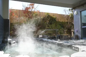 ヒルホテル サンピア伊賀 天然温泉 芭蕉の湯 image