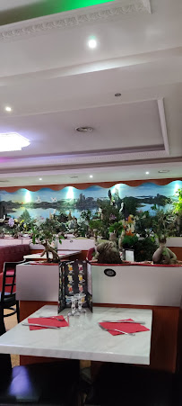Atmosphère du Restaurant de spécialités asiatiques Planet Asia à Condren - n°8