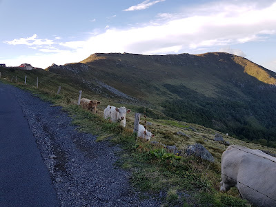 Bureau des Accompagnateurs en Montagne du Puy Mary à Laveissière