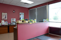 Cat Clinic of Iowa City - Photo 5 - Car repair in Iowa City, IA, Iowa City