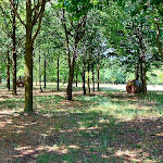 Photo n°25 de l'avis de Resevial. fait le 06/06/2022 à 15:37 sur le  Osteria Cascina Picchetta à Cameri