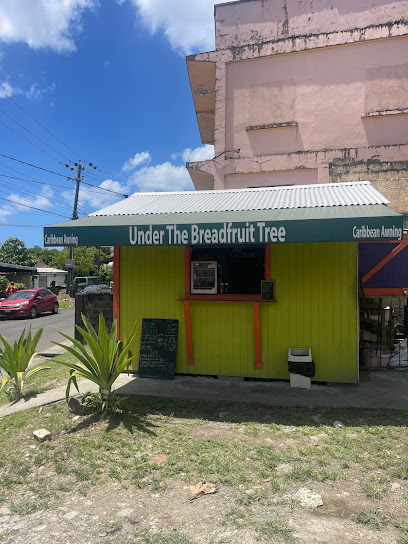 Under the Breadfruit Tree - L Anse Rd, Castries, St. Lucia