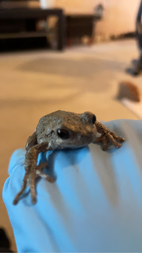 Pet Supply Store «PetSmart», reviews and photos, 13927 New Halls Ferry Road, Florissant, MO 63033, USA