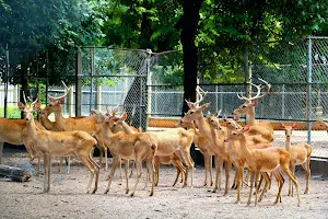 Somdet Phra Srinagarindra Park Zoo image