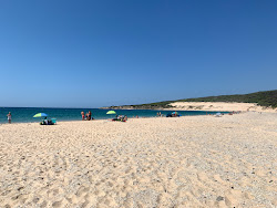 Zdjęcie Plaża Valdevaqueros położony w naturalnym obszarze