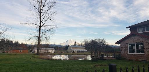 Winery «Rainier View Winery and Nursery», reviews and photos, 12314 264th St E, Graham, WA 98338, USA