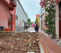 Jardín Guerrero photo