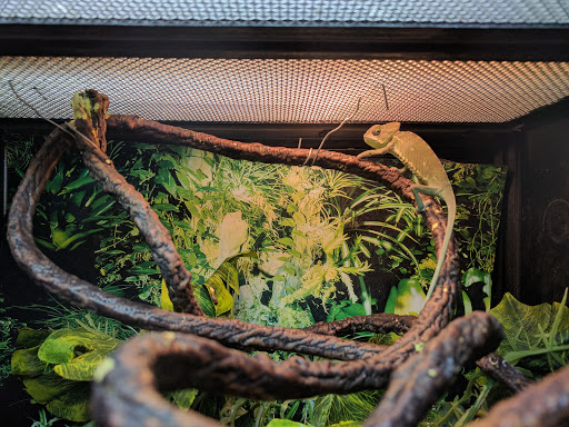 Pet Supply Store «PetSmart», reviews and photos, 367 Mt Hope Ave, Rockaway, NJ 07866, USA