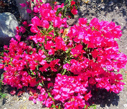 Soriana Híper photo