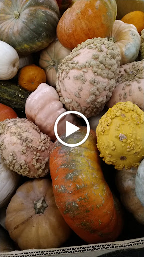 Supermarket «Price Chopper», reviews and photos, 2985 Berlin Turnpike, Newington, CT 06111, USA