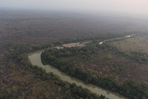 Chinko Nature Reserve image