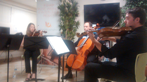 Charity «Circle the City», reviews and photos