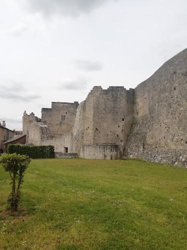 Forteresse médiévale à Châtel-sur-Moselle