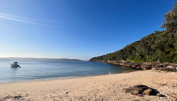 Photo de Obelisk Beach situé dans une zone naturelle