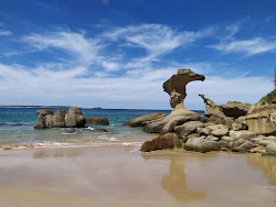 Hargraves Beach photo #6