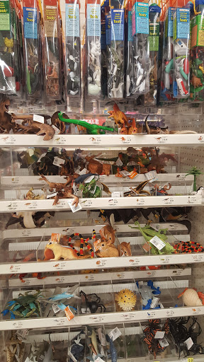 Craft Store «A.C. Moore Arts and Crafts», reviews and photos, 255 Amherst St, Nashua, NH 03063, USA