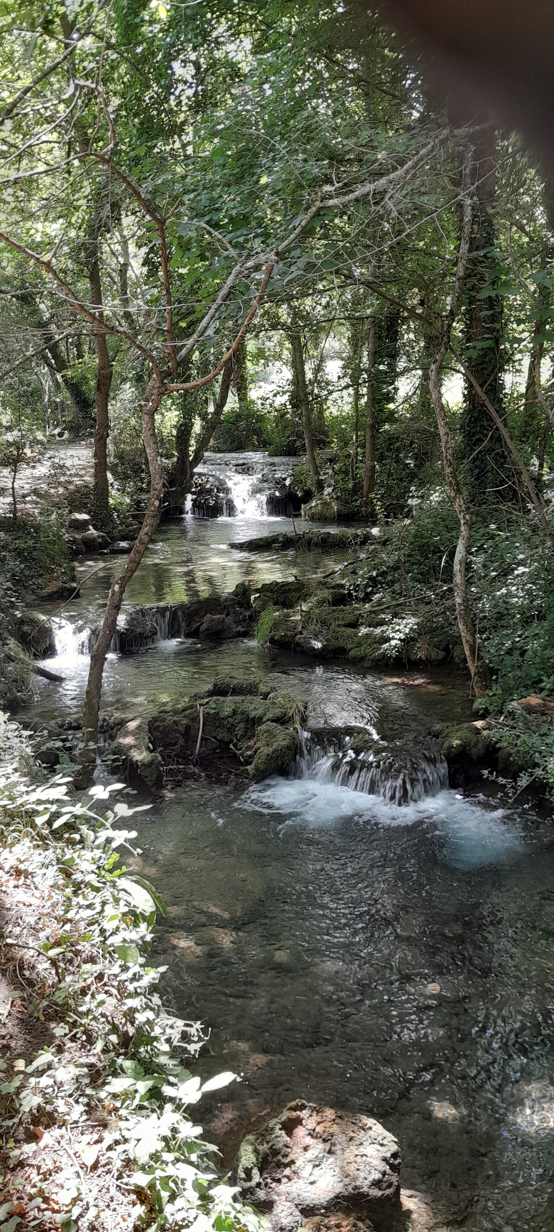 Photo n° 10 de l'avis de Bettus.a fait le 29/07/2023 à 18:57