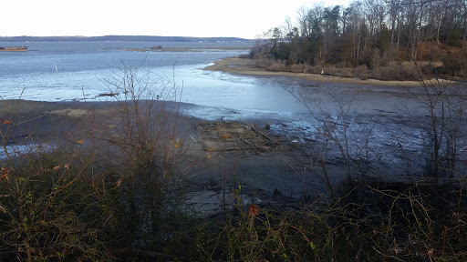 Tourist Attraction «Mallows Bay», reviews and photos, 1440 Wilson Landing Rd, Nanjemoy, MD 20662, USA