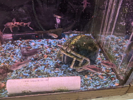 Pet Store «Animal Ark Pet Stores», reviews and photos, 33 Center St, Orem, UT 84057, USA