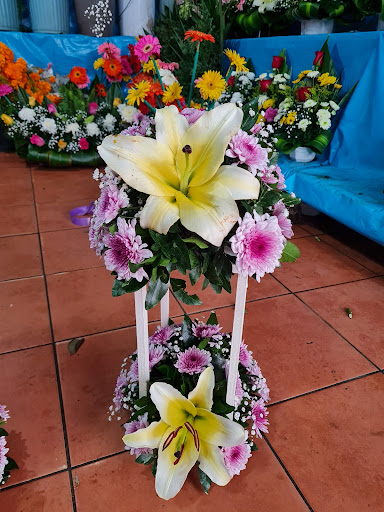 Floreria Azucena florería en  en la zona Centro