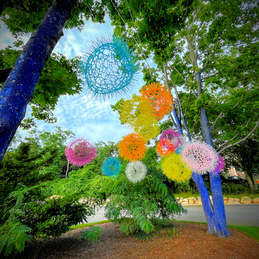 Museum «Cahoon Museum of American Art», reviews and photos, 4676 Falmouth Rd, Cotuit, MA 02635, USA