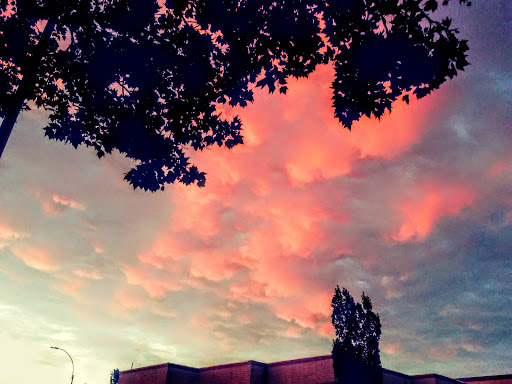 Movie Theater «Linden Boulevard Multiplex Cinemas», reviews and photos, 2784 Linden Blvd, Brooklyn, NY 11208, USA