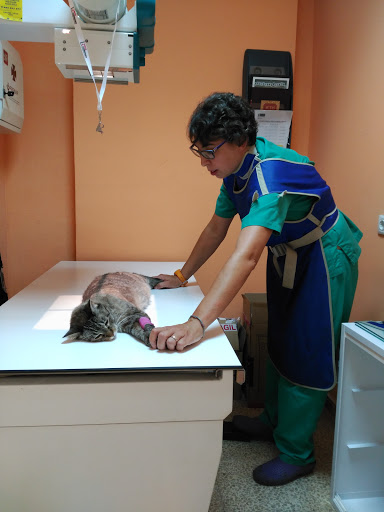 Clínica Veterinaria Ciutadella en Barcelona