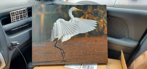 Discount Store «Walmart», reviews and photos, 280 Woodward Dr, Westminster, MD 21157, USA