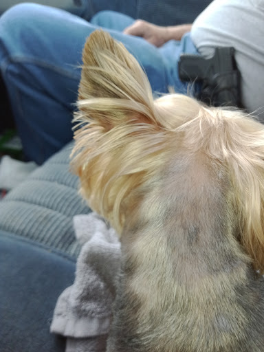 Pet Supply Store «Petco Animal Supplies», reviews and photos, 2714 Mountaineer Blvd, Charleston, WV 25309, USA