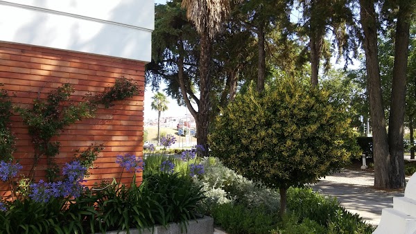 Imagen de Restaurante da pousada de Elvas (11 de 11)