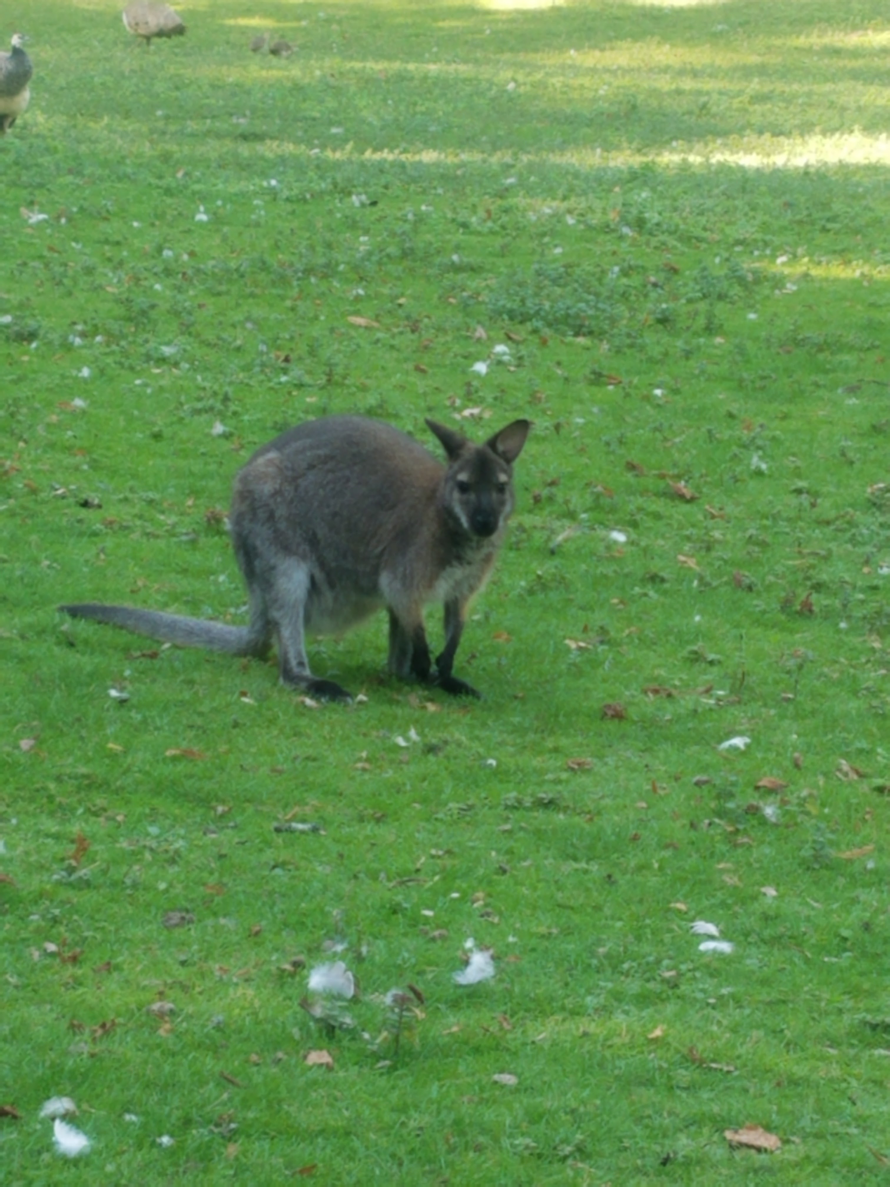Photo n° 4 de l'avis de Sonia.e fait le 24/08/2019 à 17:42