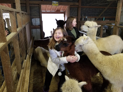 Farm «Painted Sky Alpaca Farm & Fiber Mill», reviews and photos, 95 Knight House Ln, Earleville, MD 21919, USA