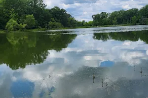 Burr Oak Woods image