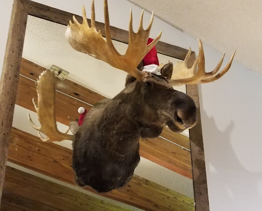 Sports Bar «Altitude Bar and Grill», reviews and photos, 250 S Frontage Rd W, Vail, CO 81657, USA