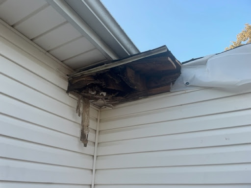 Sunroom Contractor «Modern Exteriors of Springfield», reviews and photos, 810 W Norton Rd, Springfield, MO 65803, USA