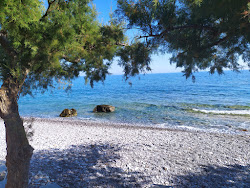 Castello beach'in fotoğrafı geniş bir kıyı şeridi ile birlikte