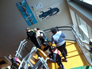 Phelps Youth Pavilion - photo 38