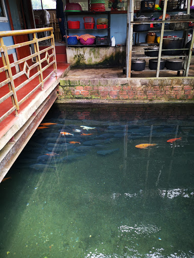 Top 17 cửa hàng brother Huyện Mộc Châu Sơn La 2022