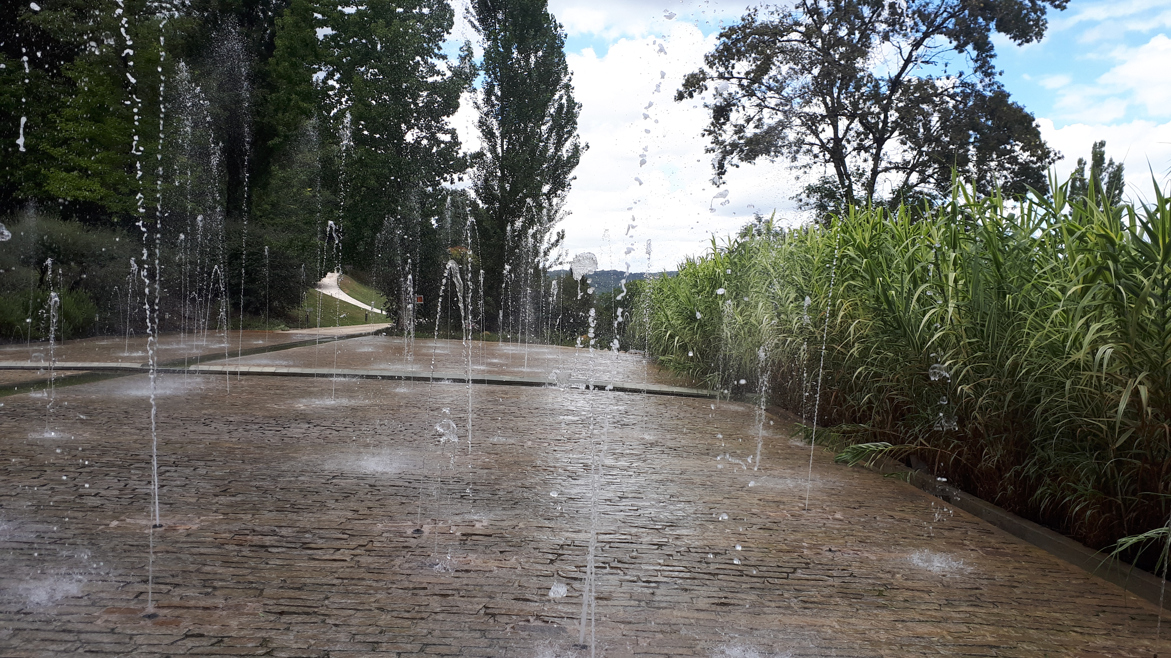 Photo n° 27 de l'avis de Cécile.i fait le 22/08/2020 à 17:28