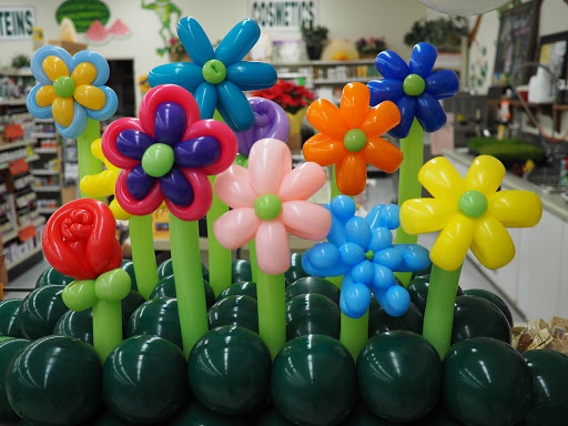 Health Food Store «Sunshine Health Foods», reviews and photos, 111 W 535 S, Cedar City, UT 84720, USA