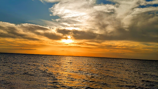 National Forest «Ocala National Forest», reviews and photos, FL-40, Silver Springs, FL 34488, USA